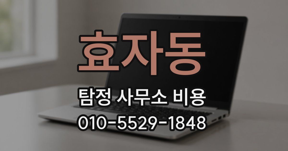 효자동 탐정 사무소 비용
