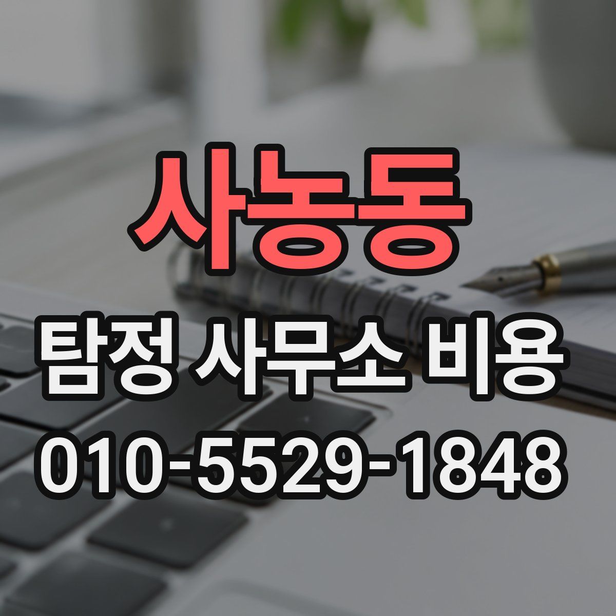 사농동 탐정 사무소 비용