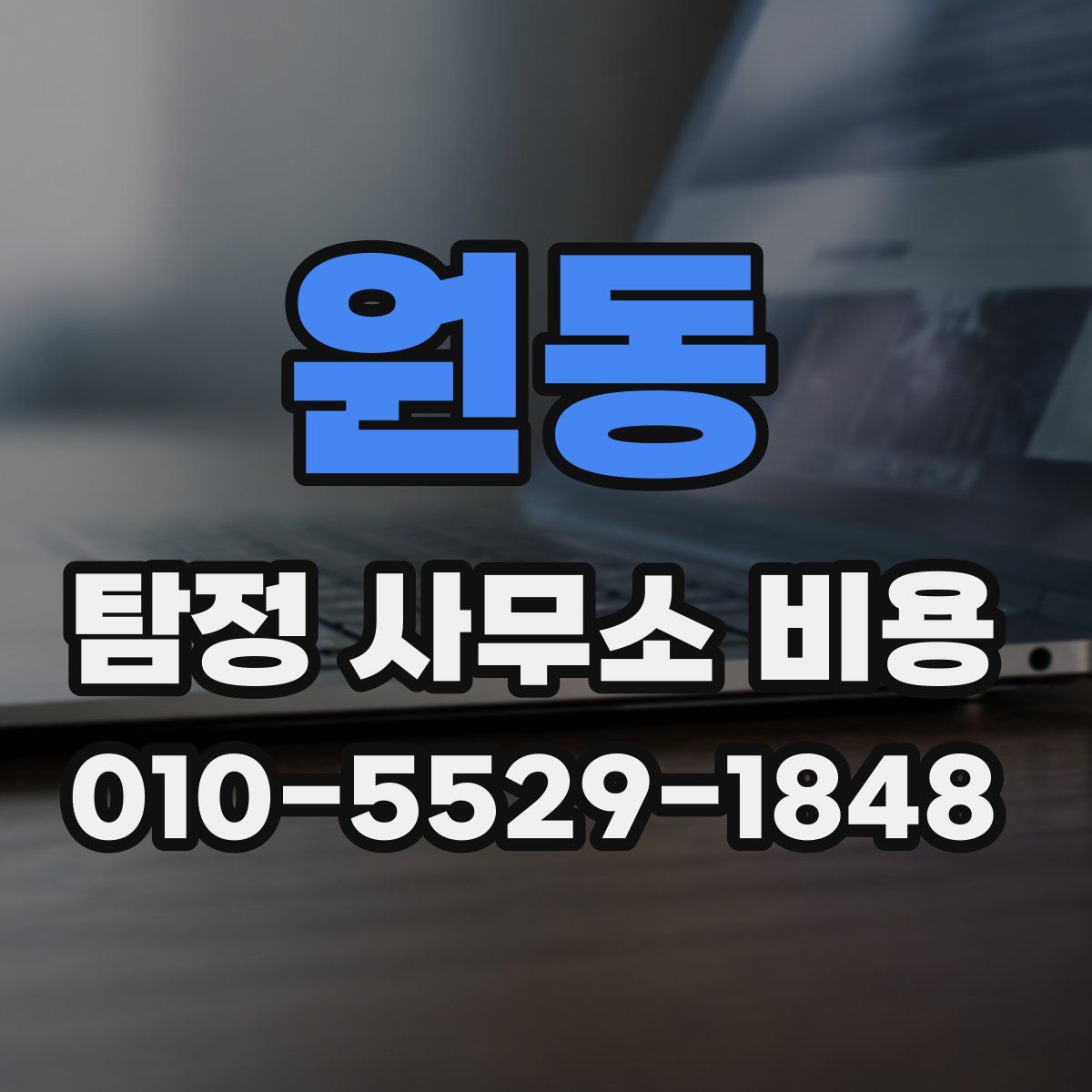 원동 탐정 사무소 비용