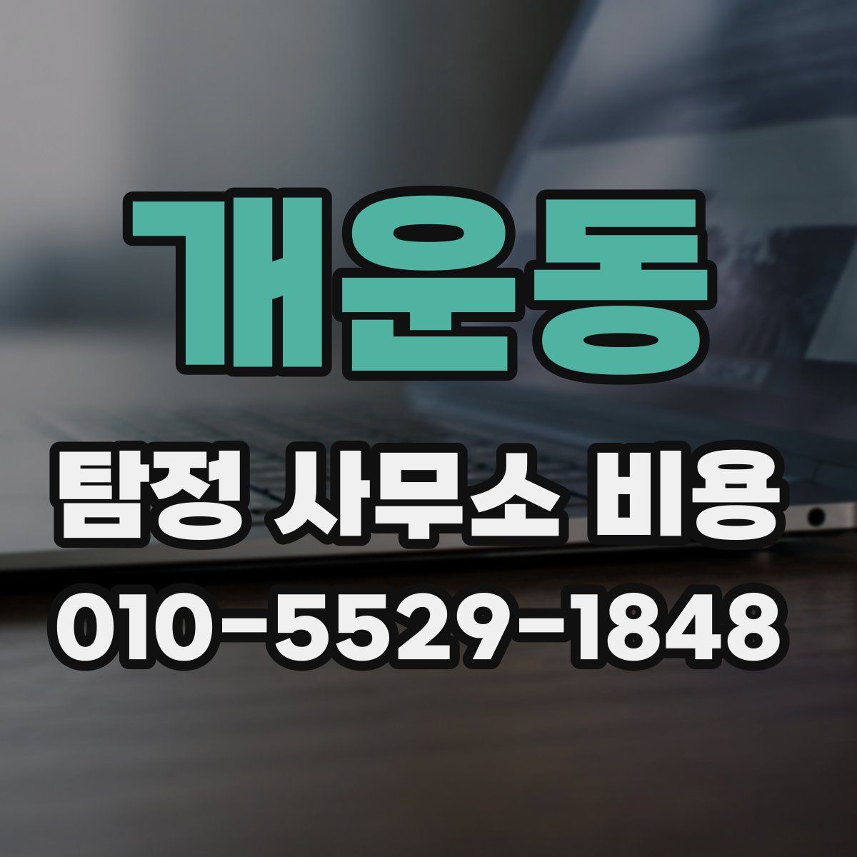 개운동 탐정 사무소 비용