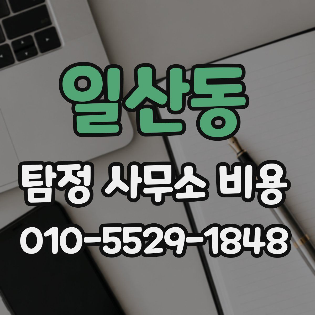 일산동 탐정 사무소 비용