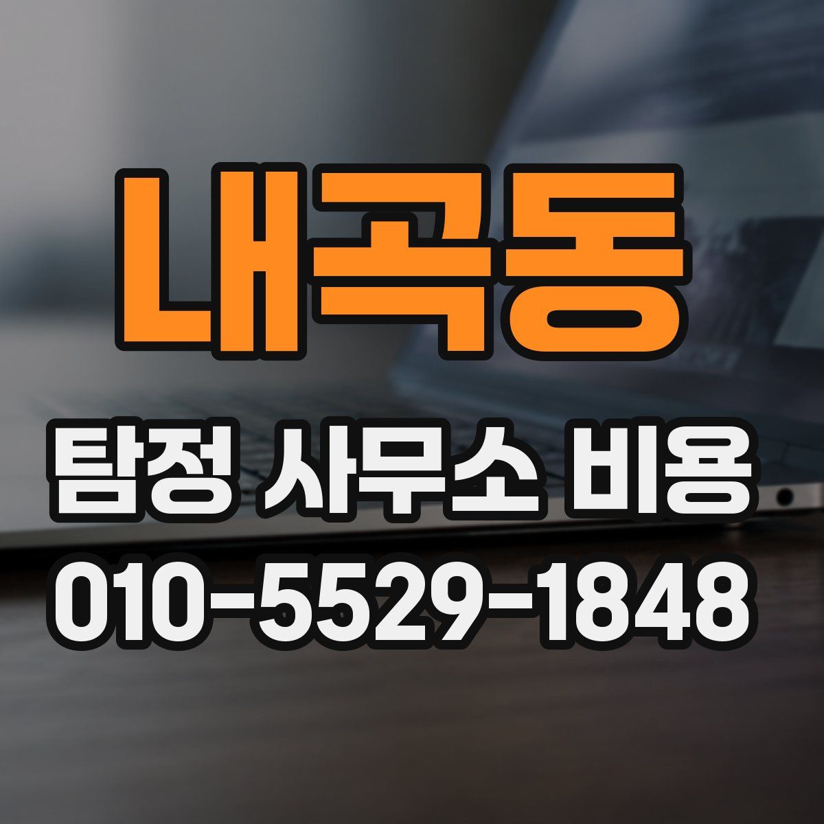 내곡동 탐정 사무소 비용