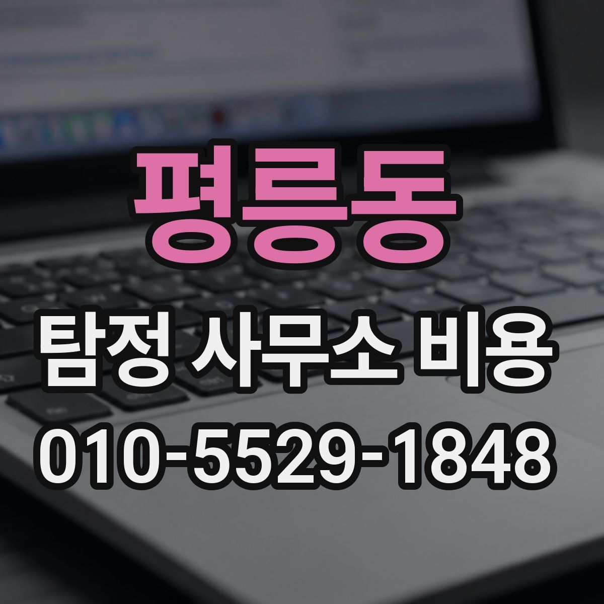 평릉동 탐정 사무소 비용