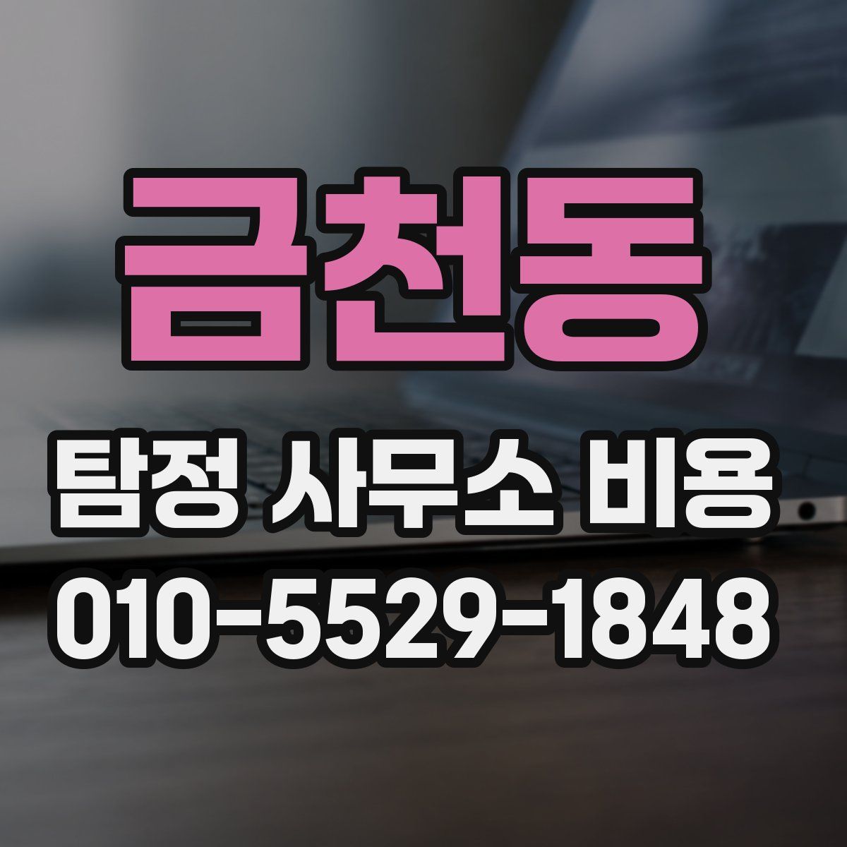 금천동 탐정 사무소 비용