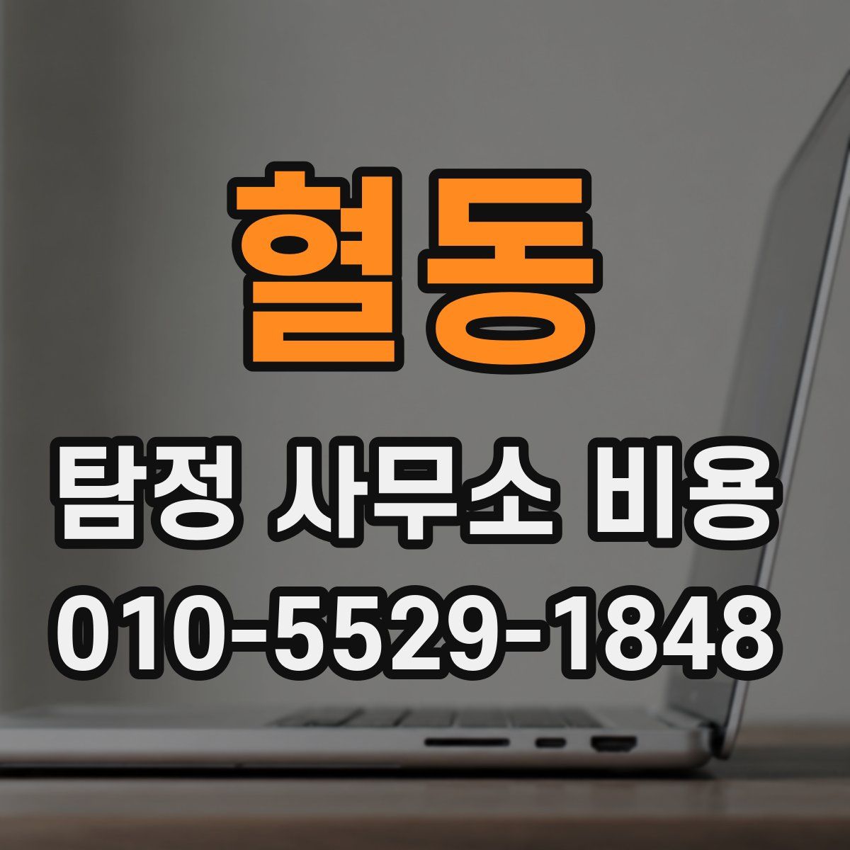 혈동 탐정 사무소 비용