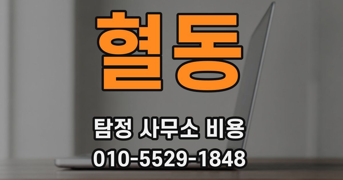 혈동 탐정 사무소 비용
