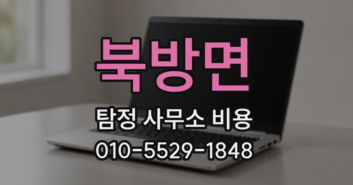 북방면 탐정 사무소 비용