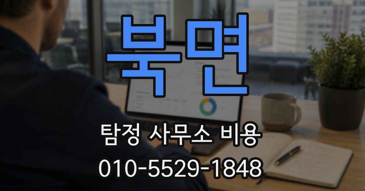 북면 탐정 사무소 비용