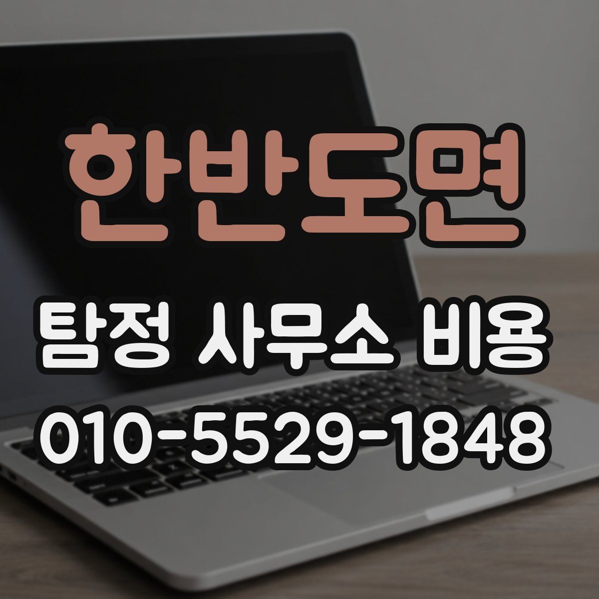 한반도면 탐정 사무소 비용