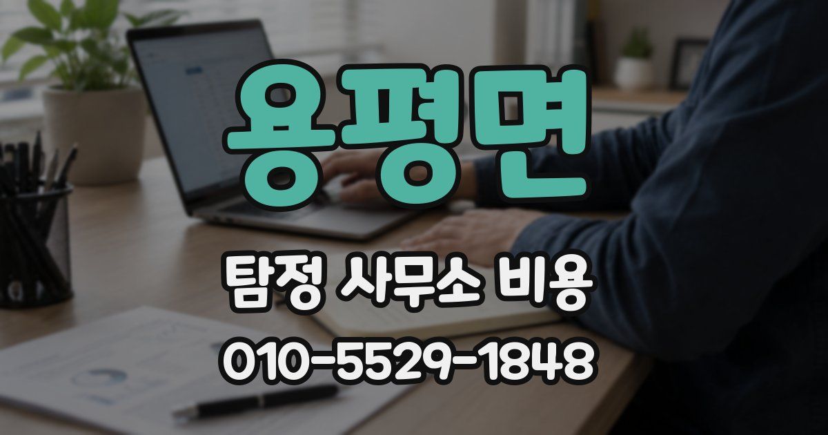 용평면 탐정 사무소 비용
