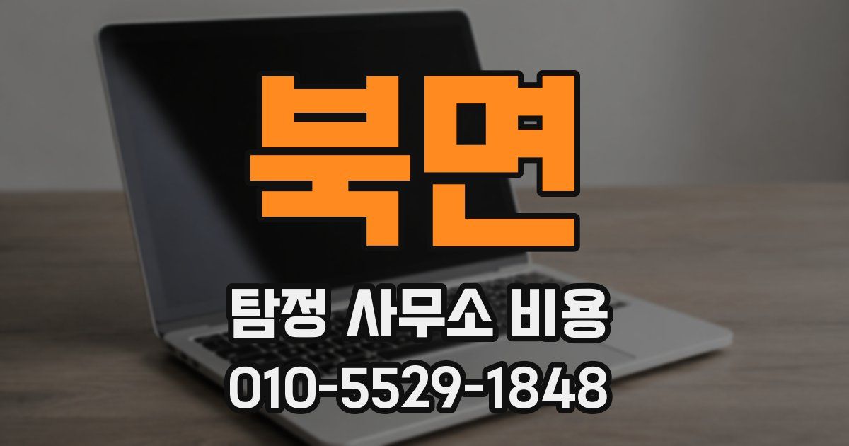 북면 탐정 사무소 비용