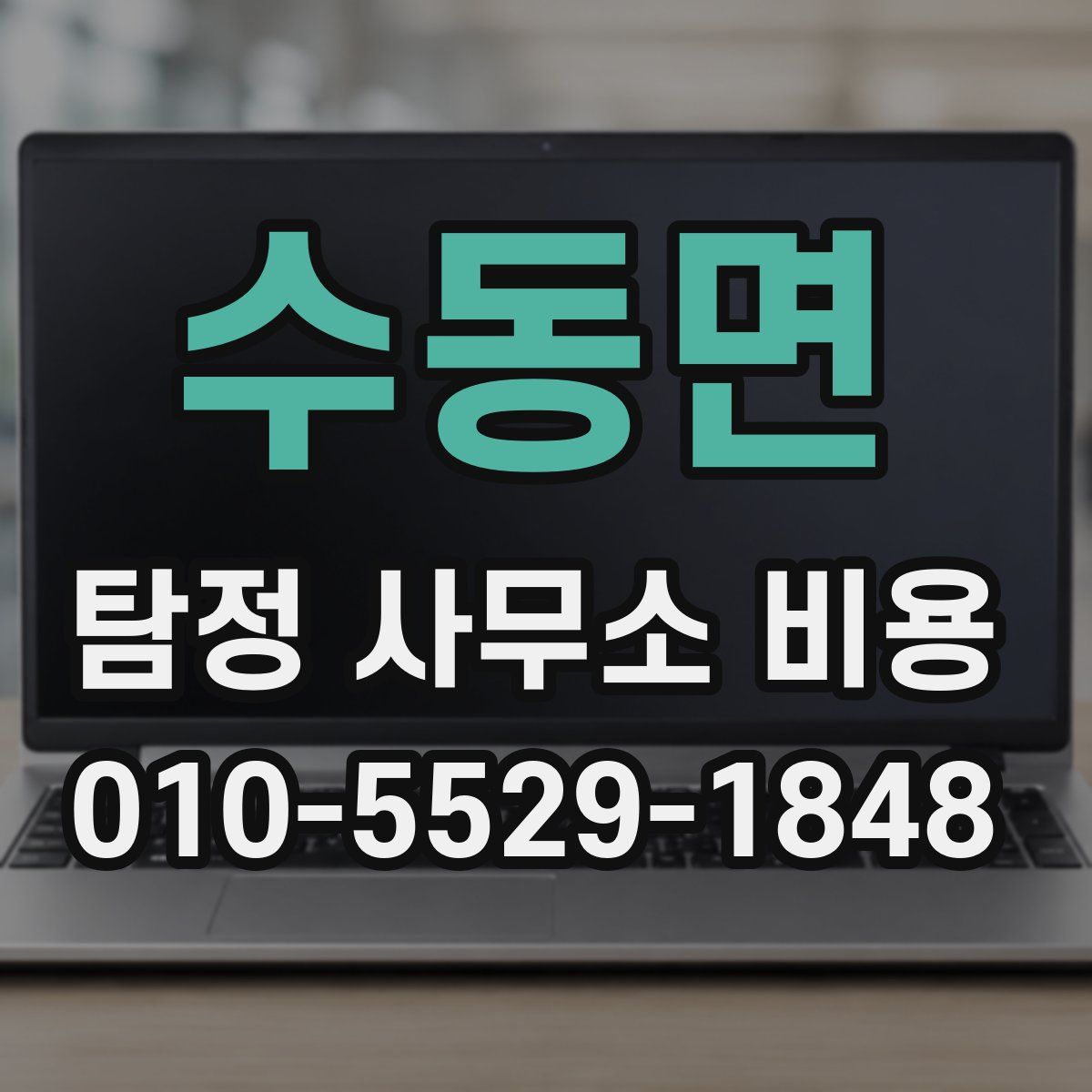 수동면 탐정 사무소 비용