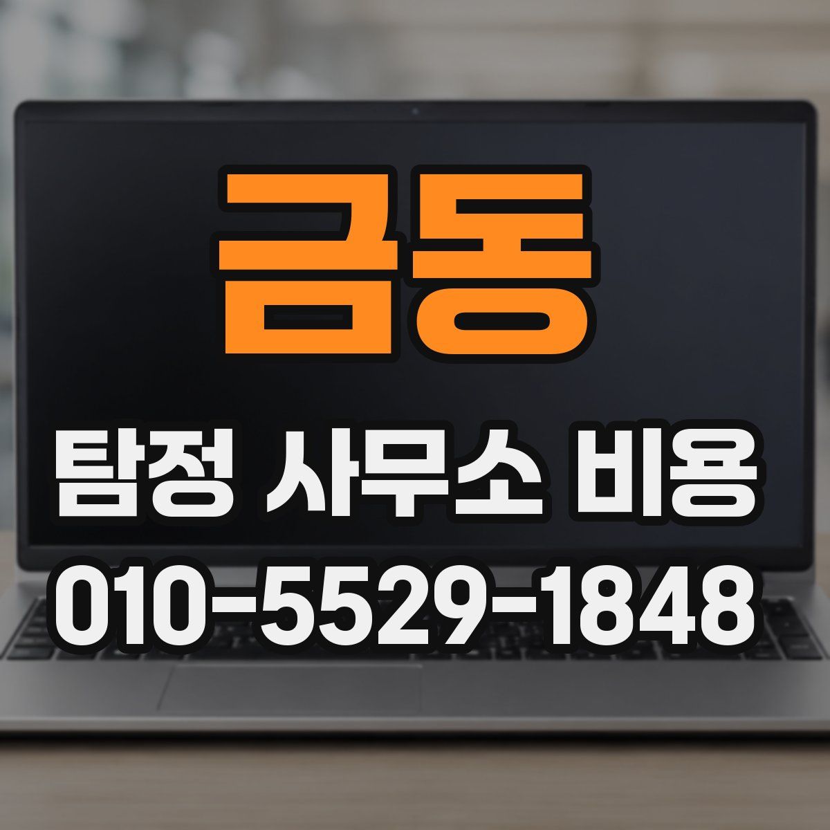 금동 탐정 사무소 비용