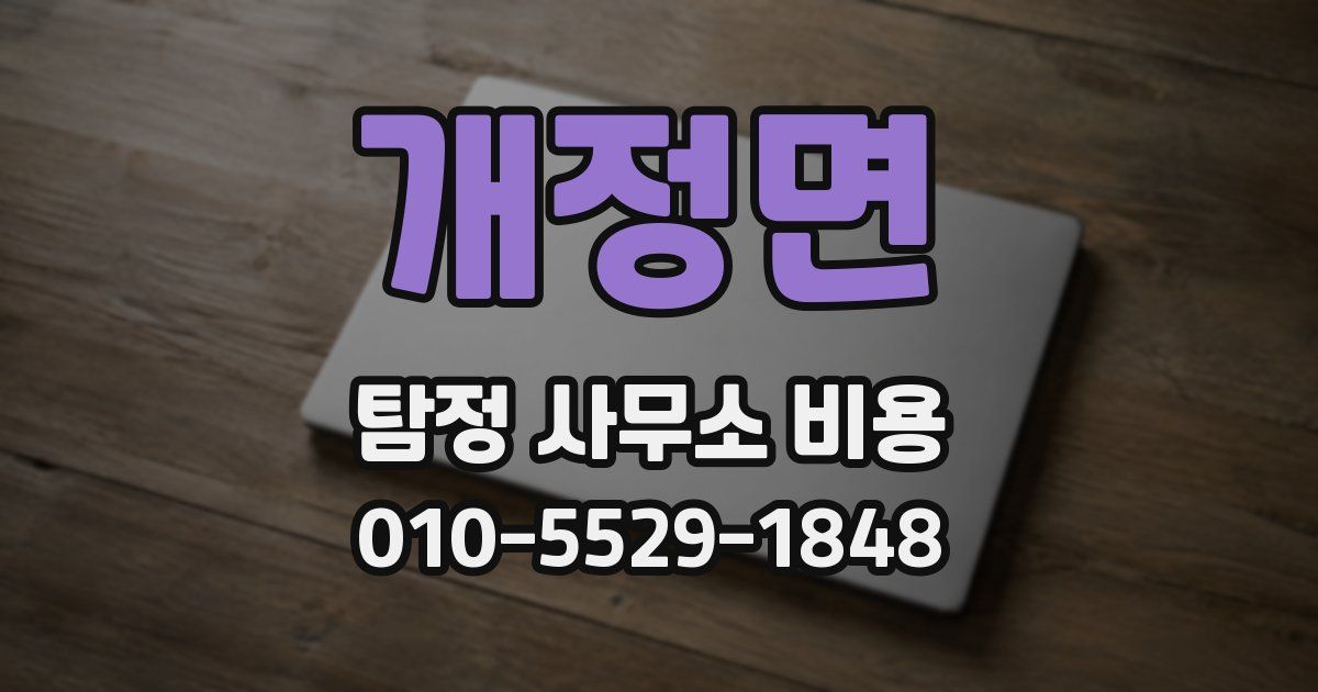 개정면 탐정 사무소 비용