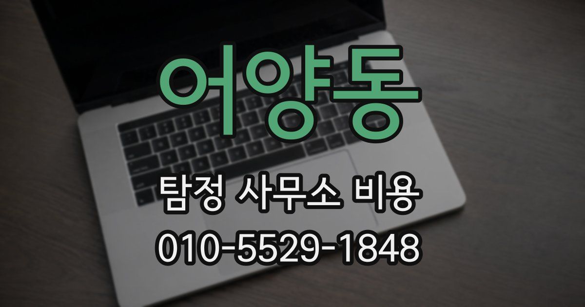 어양동 탐정 사무소 비용