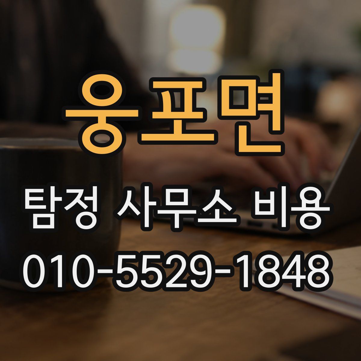 웅포면 탐정 사무소 비용