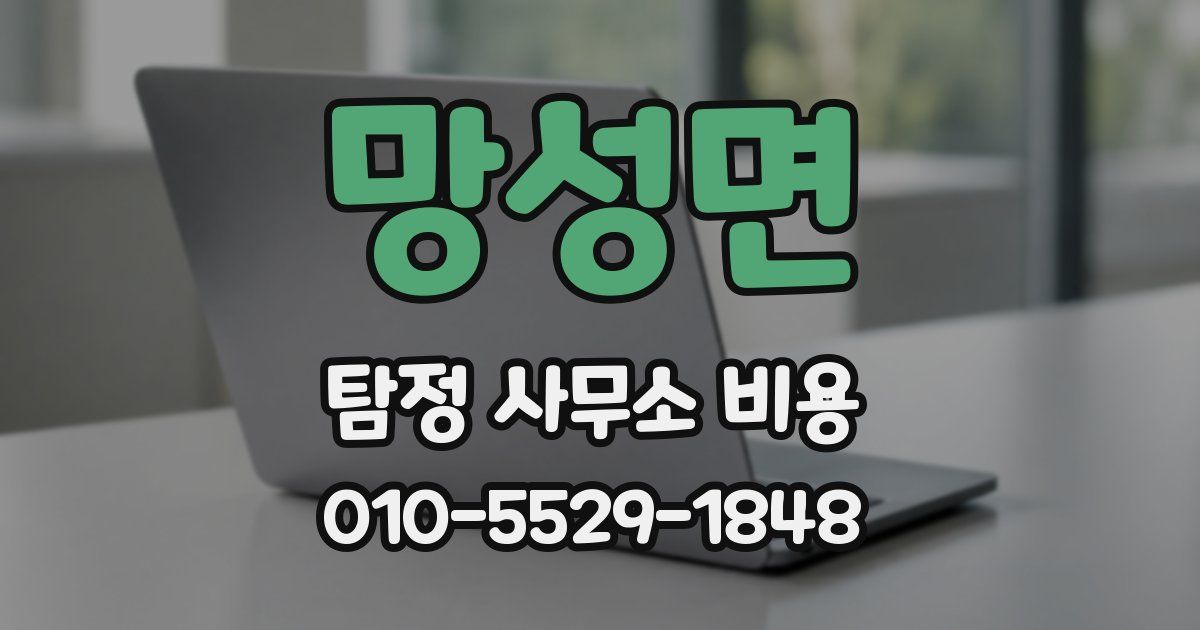 망성면 탐정 사무소 비용
