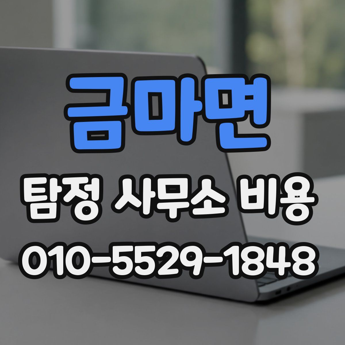 금마면 탐정 사무소 비용