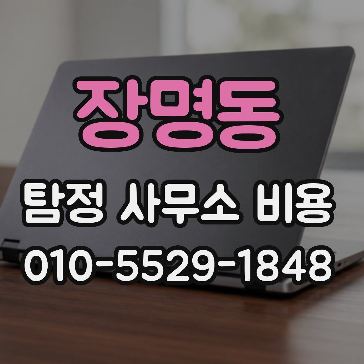 장명동 탐정 사무소 비용