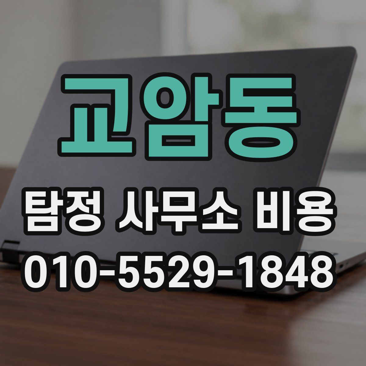 교암동 탐정 사무소 비용