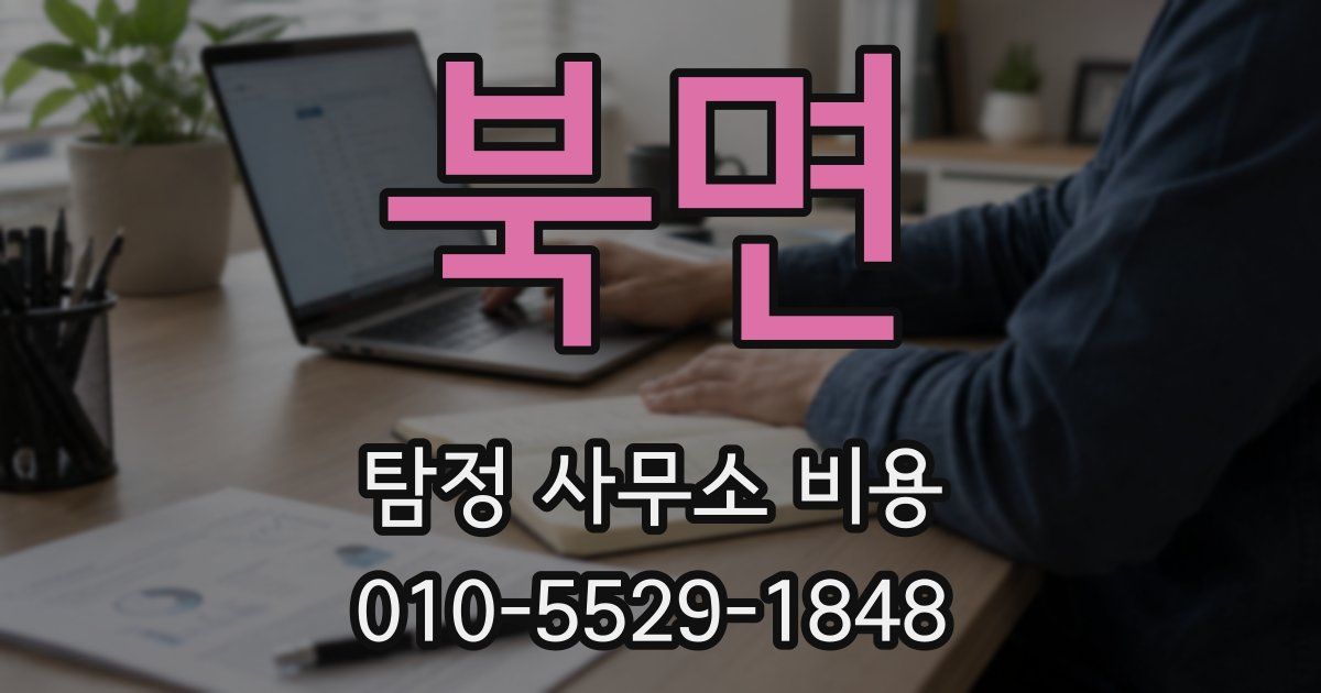 북면 탐정 사무소 비용