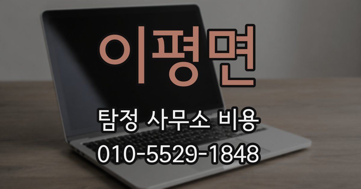 이평면 탐정 사무소 비용