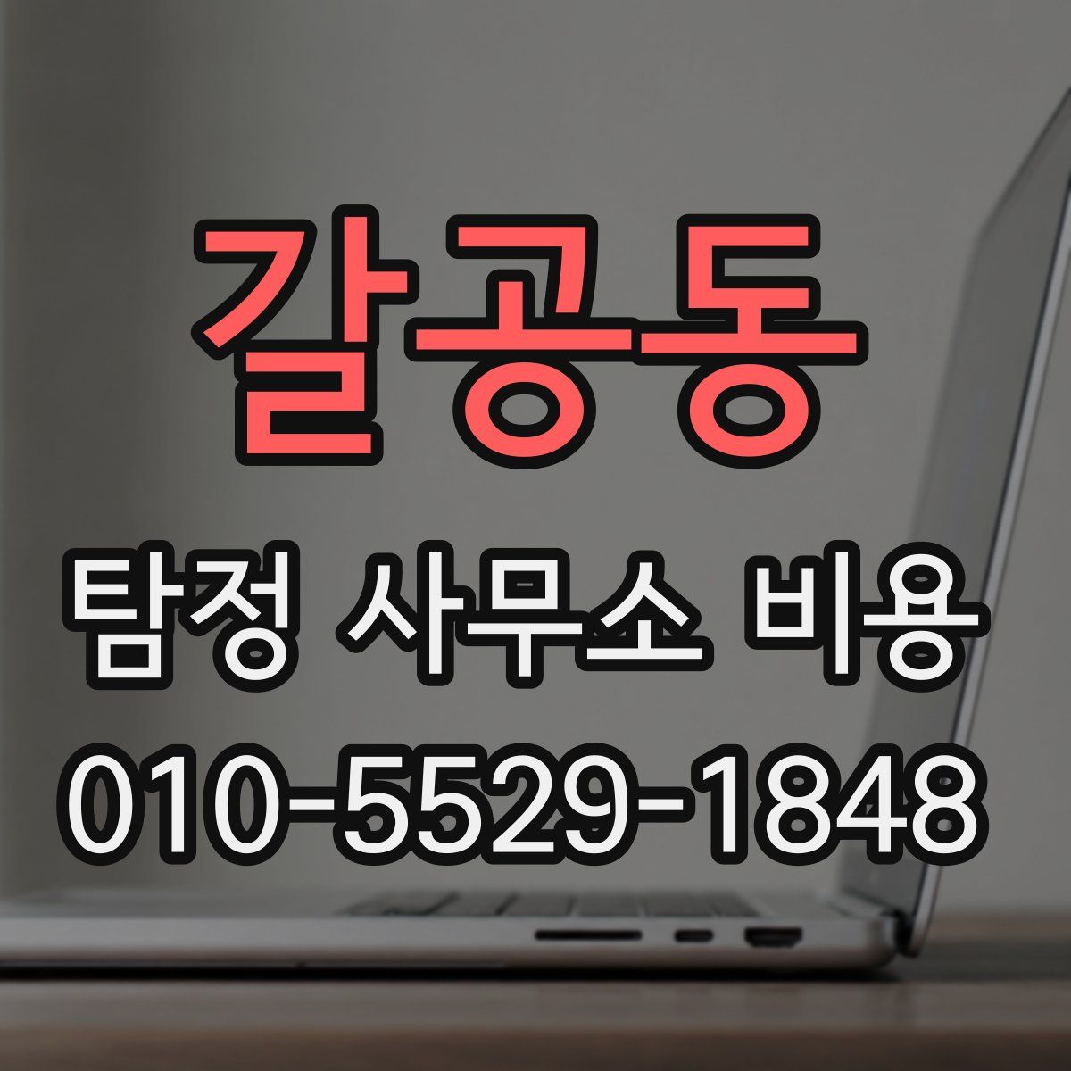 갈공동 탐정 사무소 비용