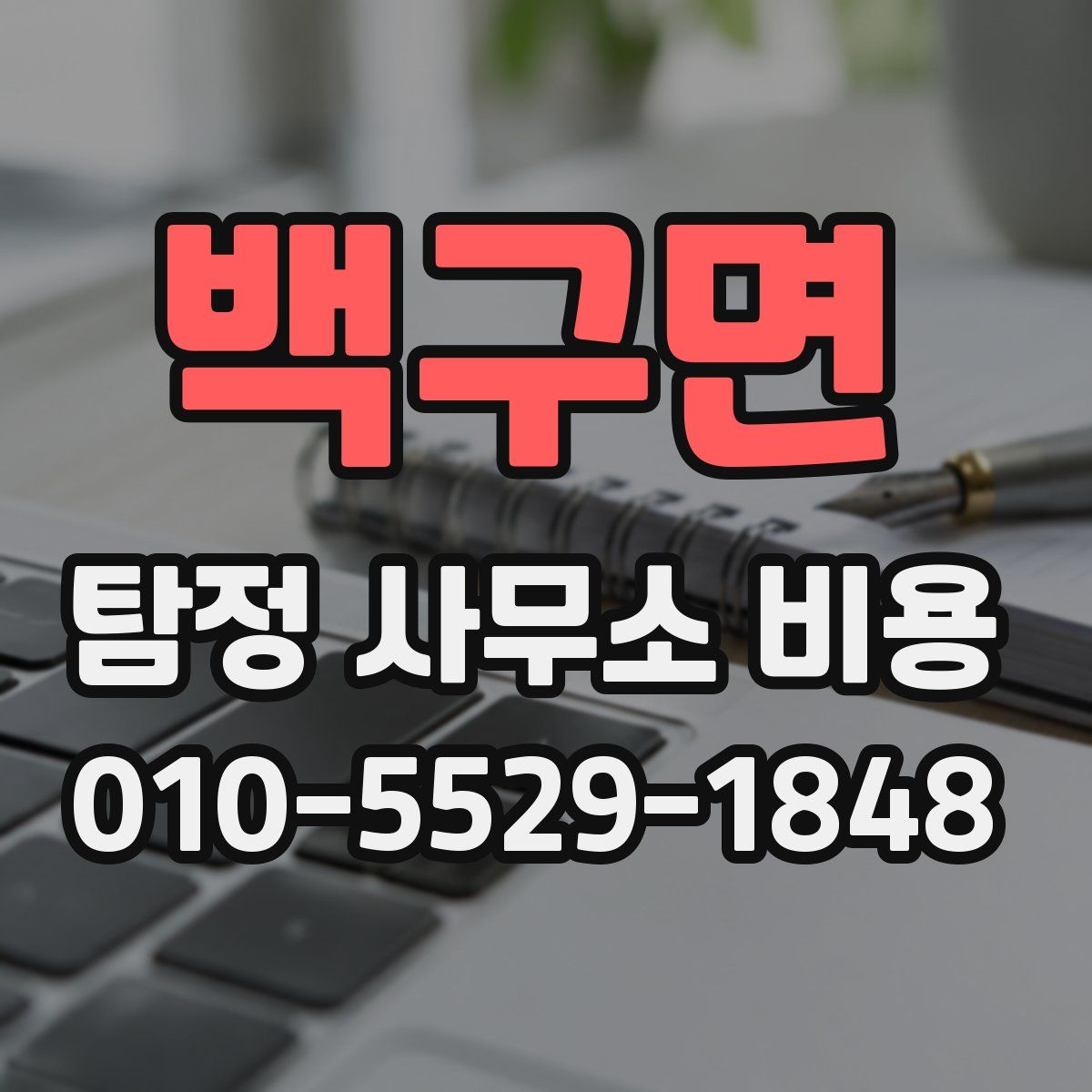 백구면 탐정 사무소 비용