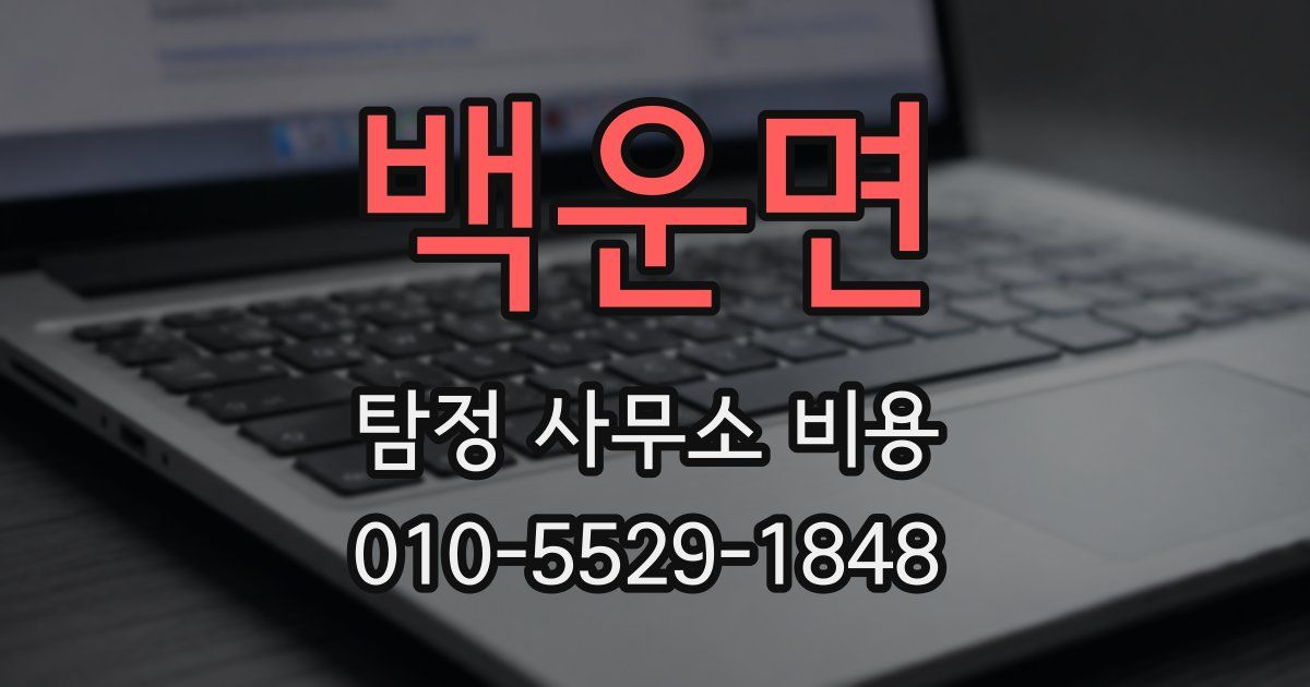 백운면 탐정 사무소 비용