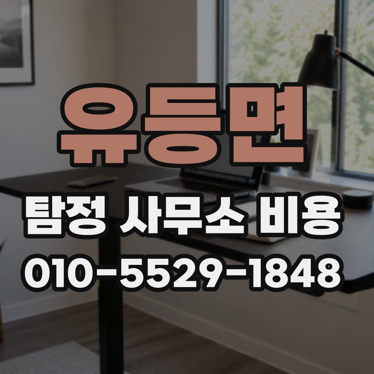 유등면 탐정 사무소 비용