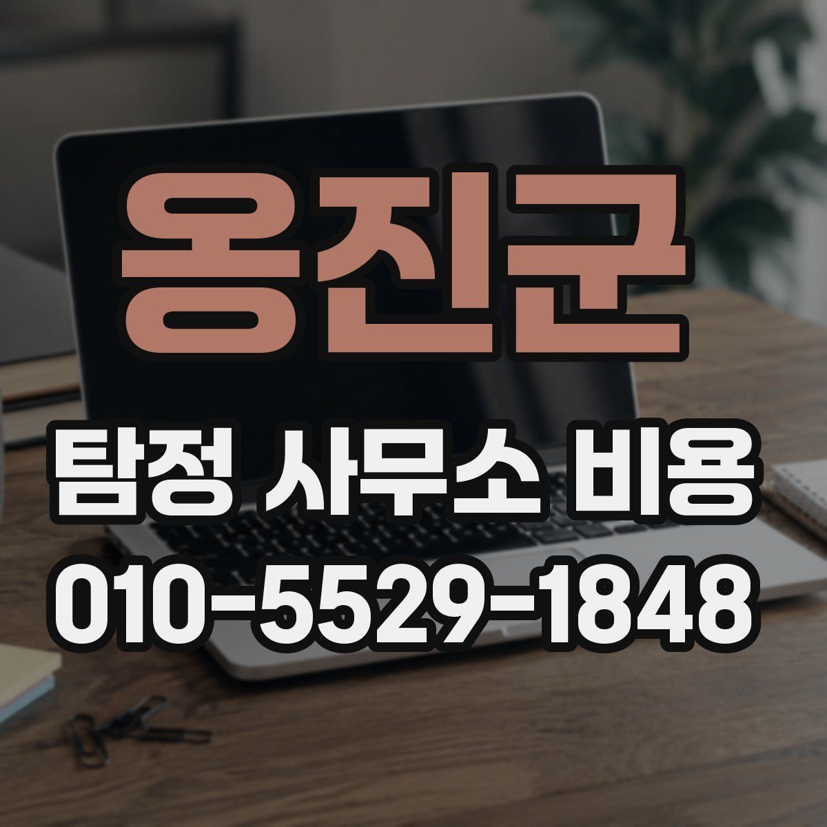 옹진군 탐정 사무소 비용