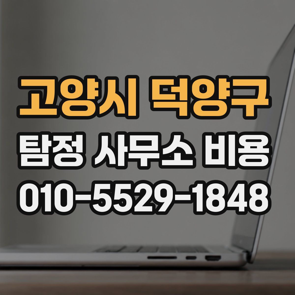 고양시 덕양구 탐정 사무소 비용