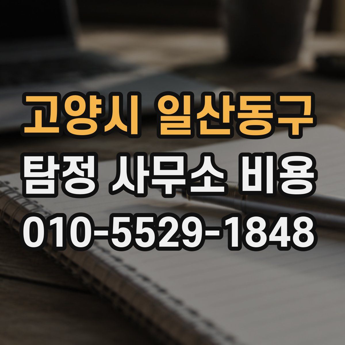 고양시 일산동구 탐정 사무소 비용