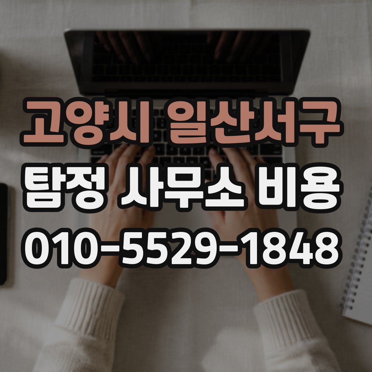 고양시 일산서구 탐정 사무소 비용