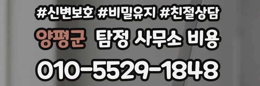 양평군 탐정 사무소 비용