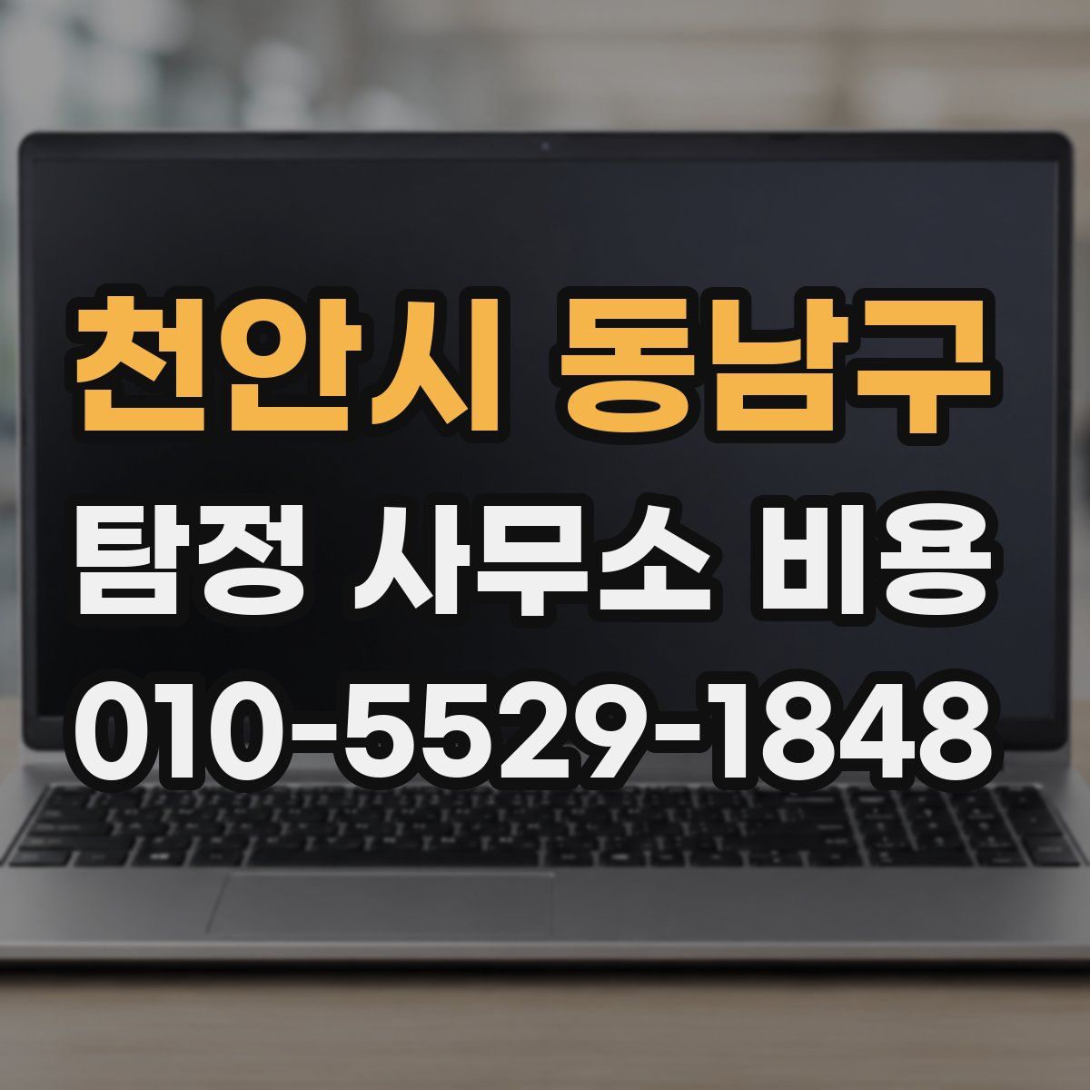 천안시 동남구 탐정 사무소 비용