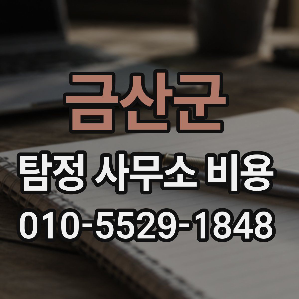 금산군 탐정 사무소 비용