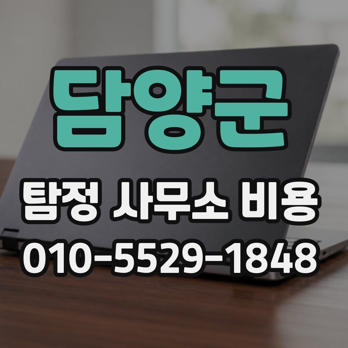 담양군 탐정 사무소 비용