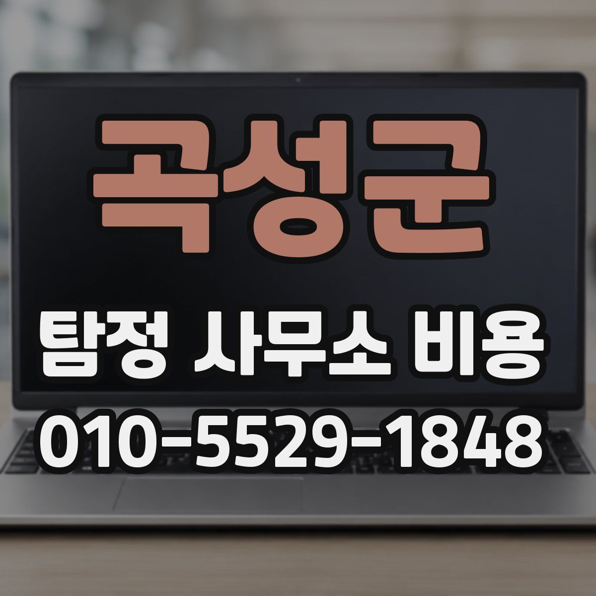곡성군 탐정 사무소 비용