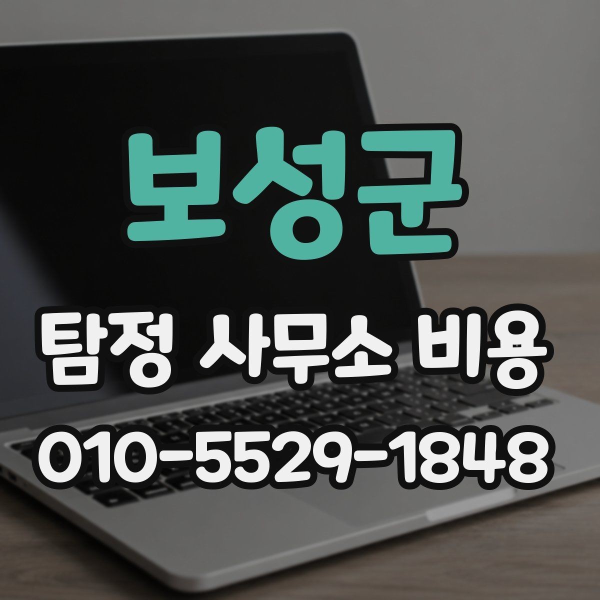 보성군 탐정 사무소 비용 관련 정보 한눈에 정리