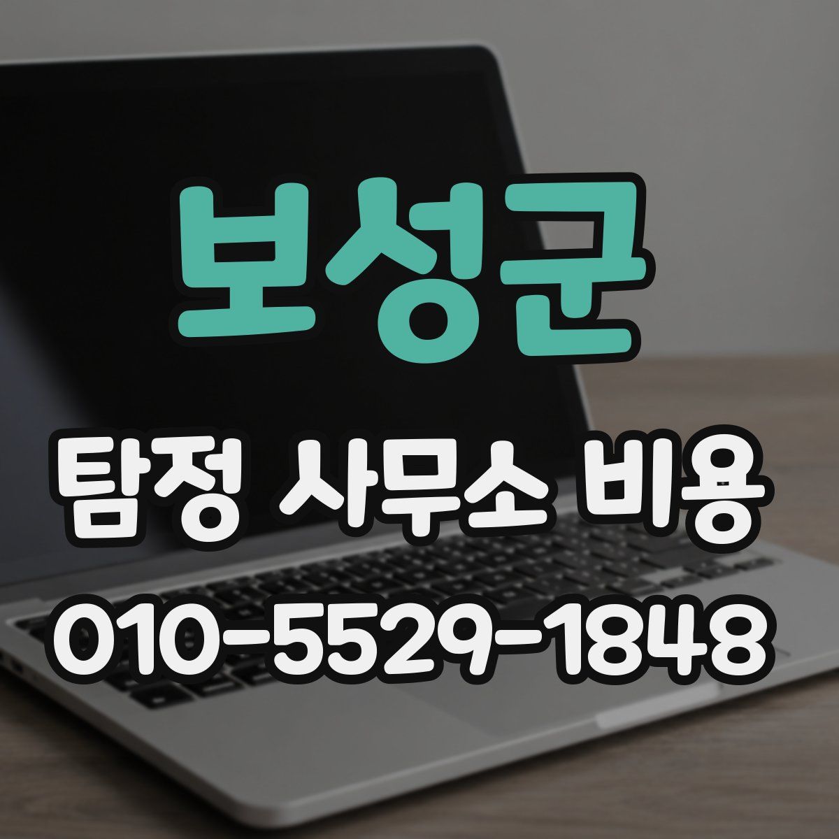 보성군 탐정 사무소 비용