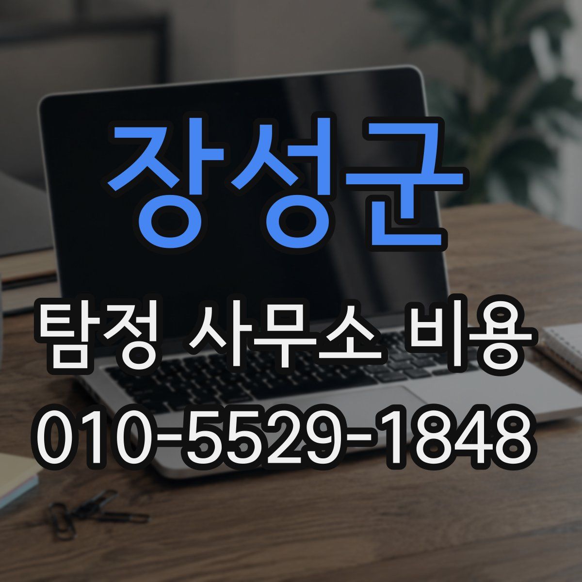 장성군 탐정 사무소 비용