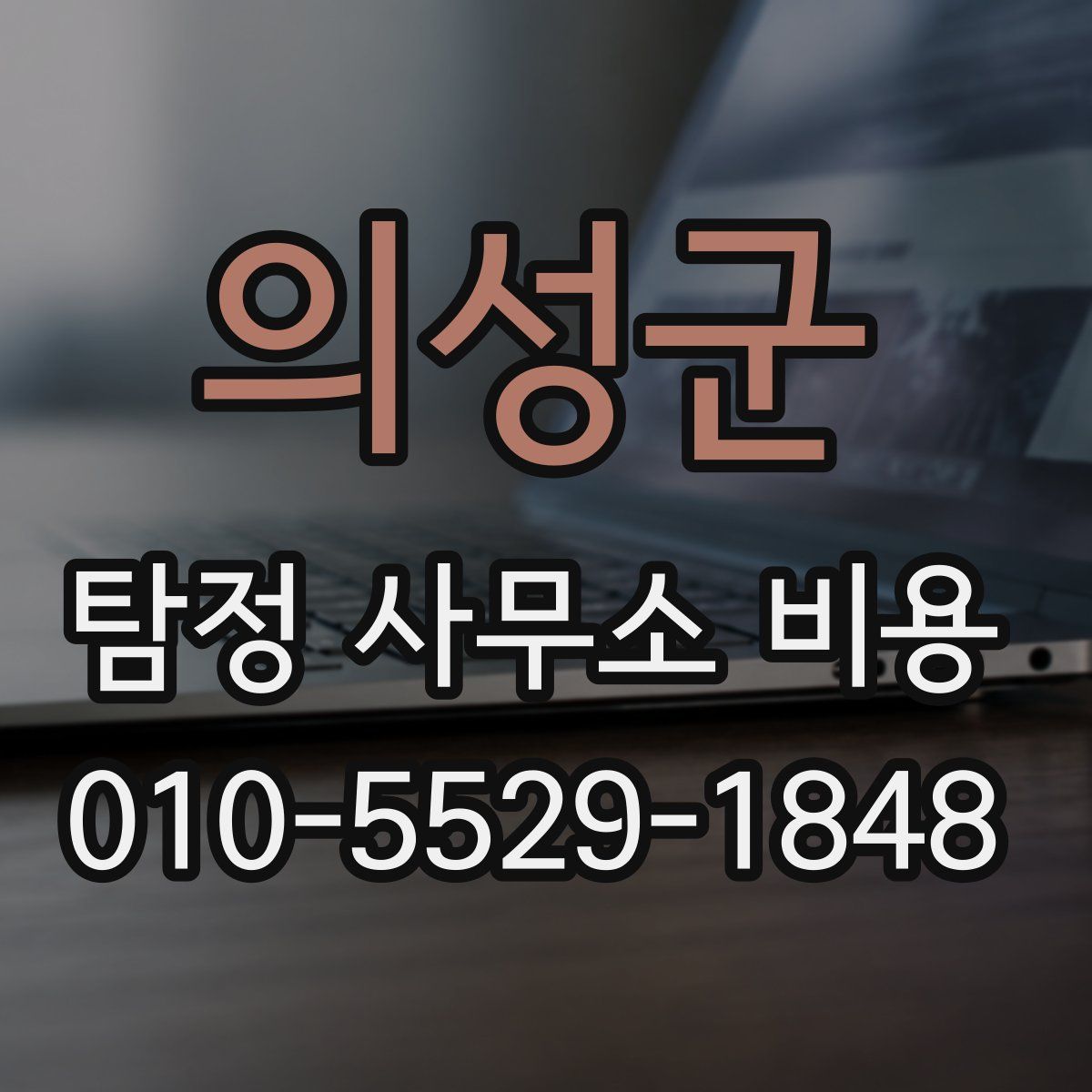 의성군 탐정 사무소 비용