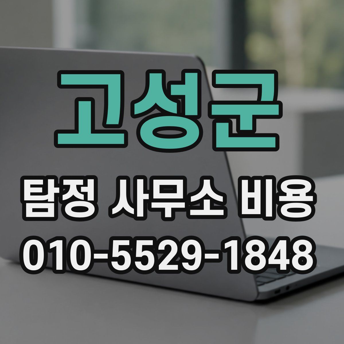 고성군 탐정 사무소 비용