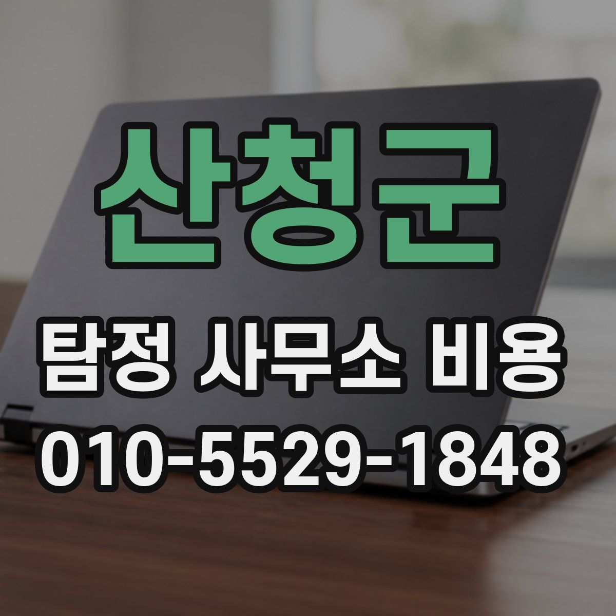 산청군 탐정 사무소 비용