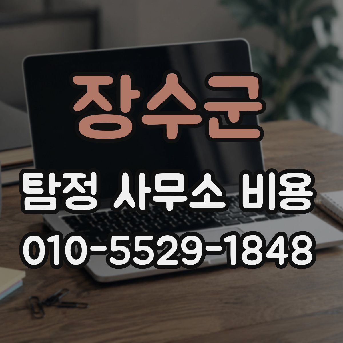 장수군 탐정 사무소 비용