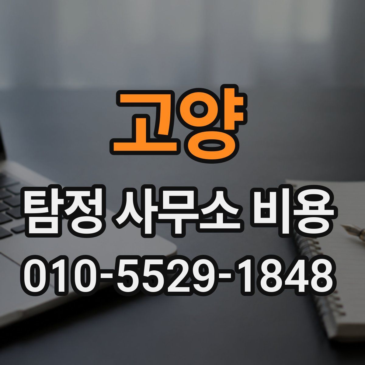 고양 탐정 사무소 비용
