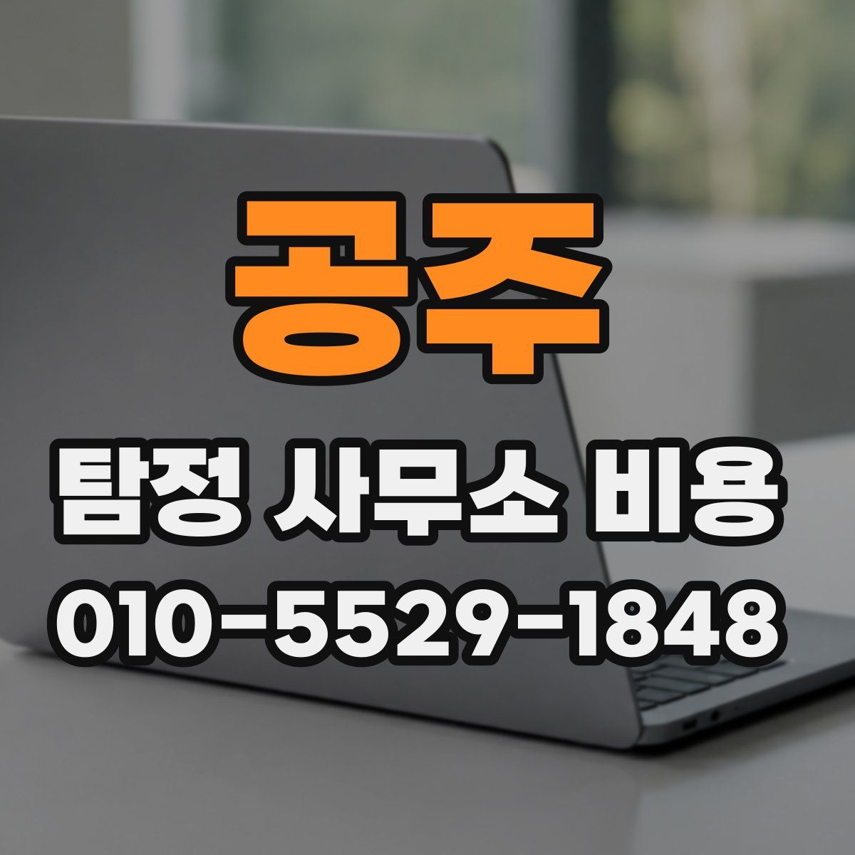 공주 탐정 사무소 비용