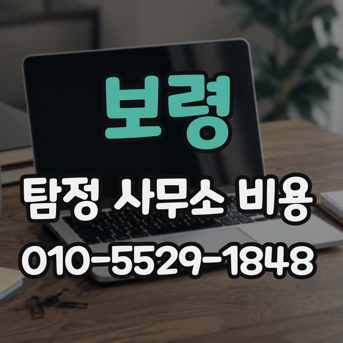 보령 탐정 사무소 비용