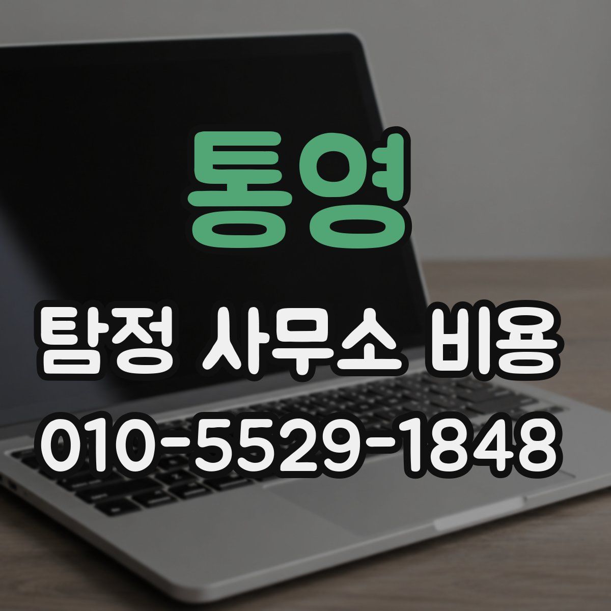 통영 탐정 사무소 비용